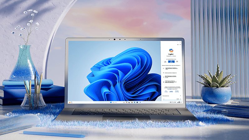 windows-11